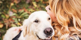 Coccole-preferite-dal-cane