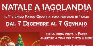 Iagolandia-natale-per-cani