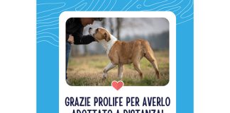 Prolife e enpa
