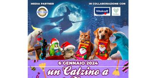 befana-zoomarine