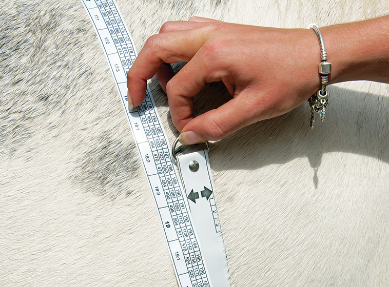 misurare la pancia per capire il peso in modo alternativo