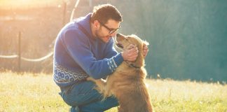 cane-alla-ricerca-di-persone