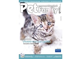 Petfamily-gennaio-2024