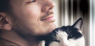 comportamenti-graditi-al-gatto