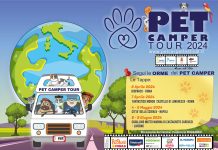 Pet-camper-in-tour