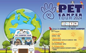 Pet-camper-in-tour