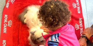 Pet Therapy
