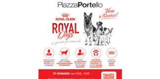 royal-canin