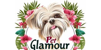 Pet-glamour-camaiore-viareggio