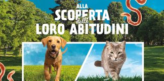 Contro-i-parassiti-intestinali