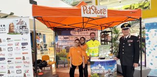 pet-camper-tour-città-del-vaticano