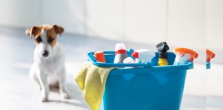 Avvelenamento-cane-gatto