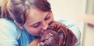 Idea-del-cane