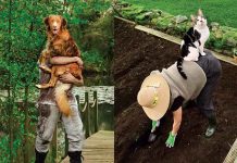 I PARASSITI INTESTINALI, NEMICI INVISIBILI bella-la-vita-vetoquinol-settembre-2025