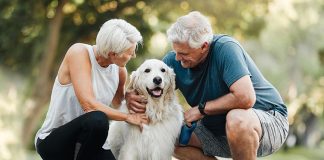 Addestrare-il-cane-senza-guinzaglio