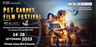 pet-carpet-film-festival-comunicato-stampa