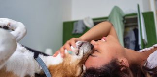 Rilassare-corpo-e-mente-del-cane