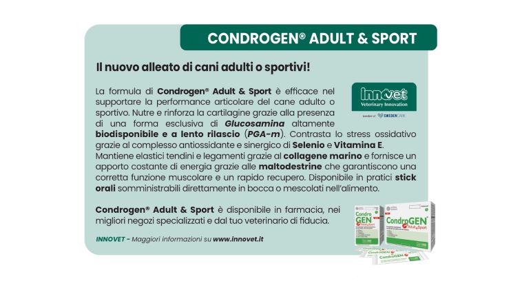 Condrogen Adult & Sport
