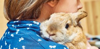 Pet-therapy-terapia-assistita-con-animali