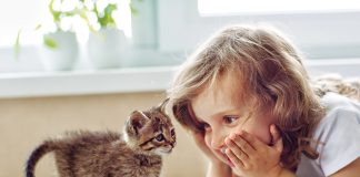 Gatti-e-bambini
