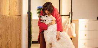 ansia-da-separazione-del-cane-e-del-gatto