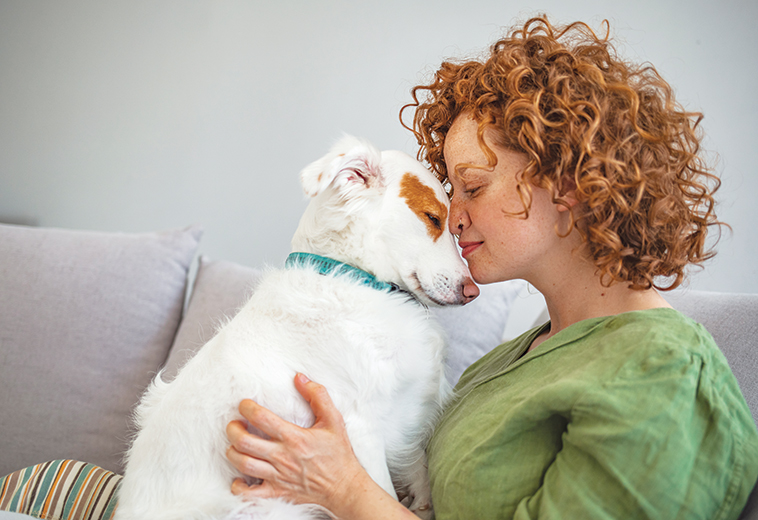 Arricchimento del cane nella foto una proprietaria con il suo cane