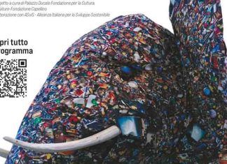 Ultimo appuntamento a Palazzo Ducale del ciclo di eventi “Un elefante in città. Ultimo-appuntamento-a-Palazzo-Ducale