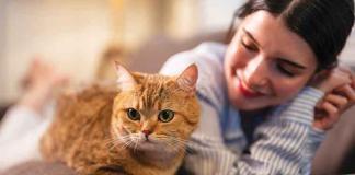 Il-gatto-mattiniero