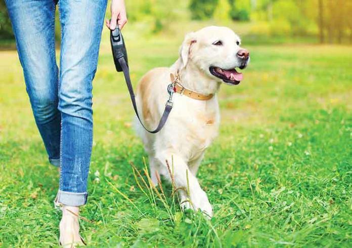 passeggiata-con-il-cane-a-guinzaglio