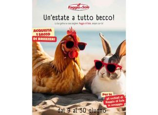 Promo “Breezer” e occhiali da sole in omaggio! promo-breezer-raggio-di-sole
