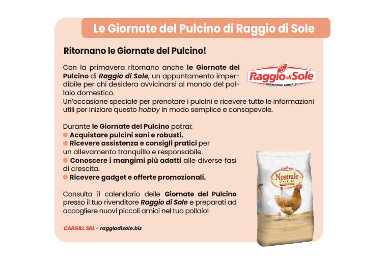 Le giornate del pulcino