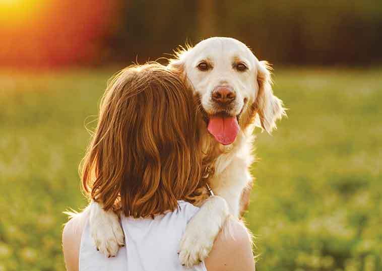 rendere felice il cane abbracciato a una bimba