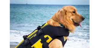 Cressi-Dog-Life-Jacket