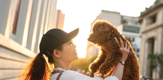Vivere-in-città-con-i-pet