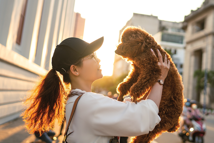 Vivere-in-città-con-i-pet