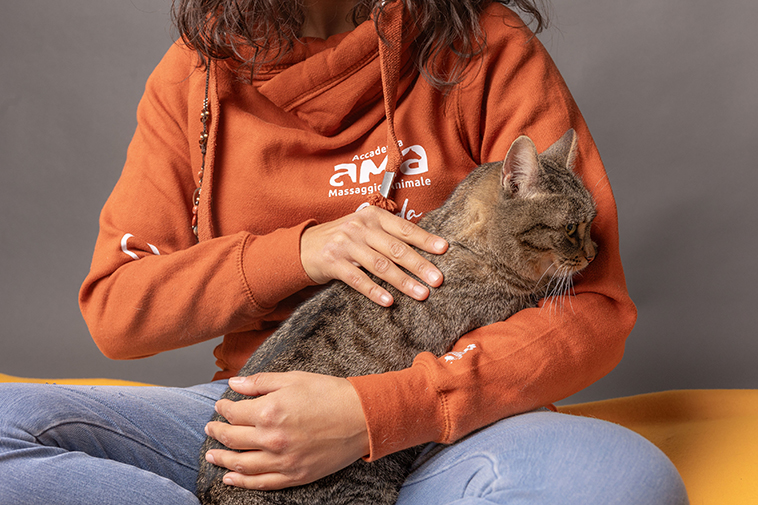 Operatrice Ama che accarezza il gatto per la massoterapia animale