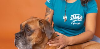 La massoterapia animale