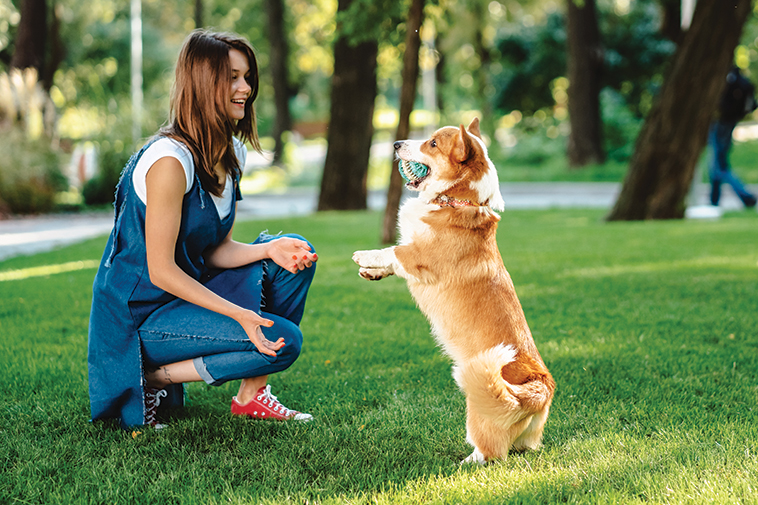 cane che gioca con la sua proprietaria e la pallina
