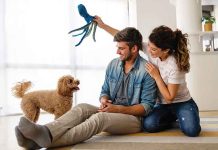 Rinforzare il legame attraverso il gioco con il cane Rinforzare-con-il-gioco