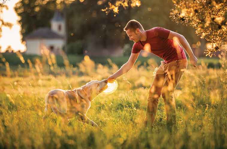 Cane che gioca con il suo proprietario