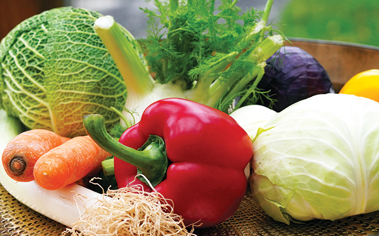Verdure a km 0 per Sostenibilità nel mercato del pet