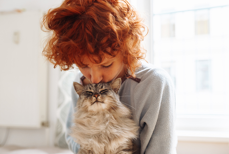 Educare il gatto con carezze e baci come nella foto la proprietaria stà baciando il suo bellissimo gatto