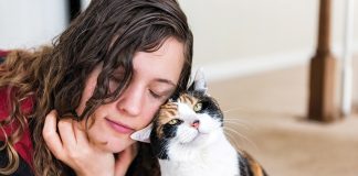 Come educare il gatto come-educare-il-gatto