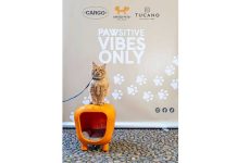 pawsitive-vibes-only-tucano-united-pets-cargo