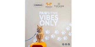 pawsitive-vibes-only-tucano-united-pets-cargo