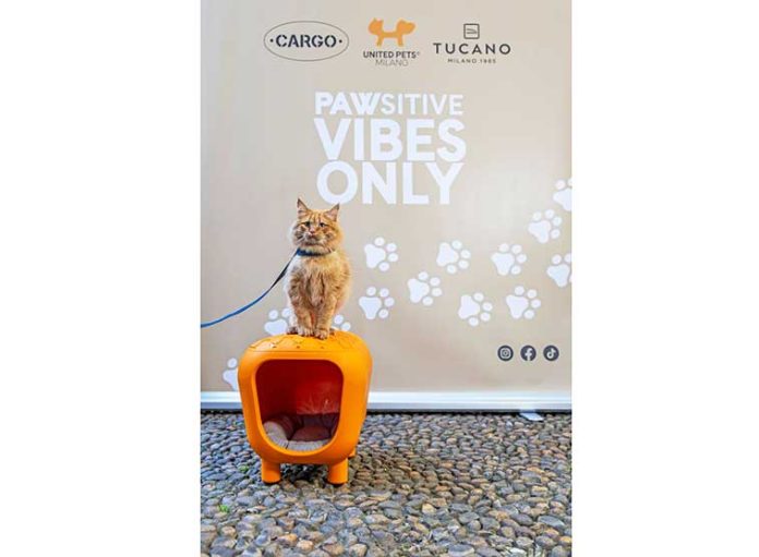 pawsitive-vibes-only-tucano-united-pets-cargo