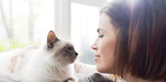 Se-il-gatto-non-ama-stare-da-solo