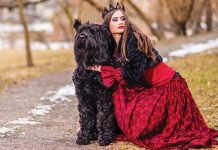 I cani scoprono il cosplay Il-cane-cosplay