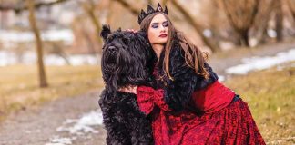 Il-cane-cosplay
