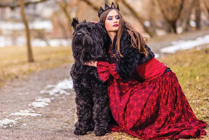 iStock-1270600820-cane-cosplay Il-cane-cosplay